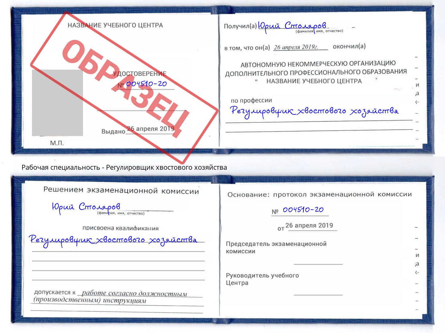 Регулировщик хвостового хозяйства Артем