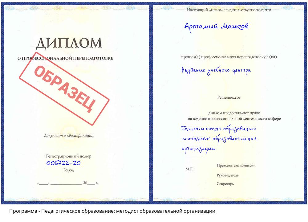 Педагогическое образование: методист образовательной организации Артем