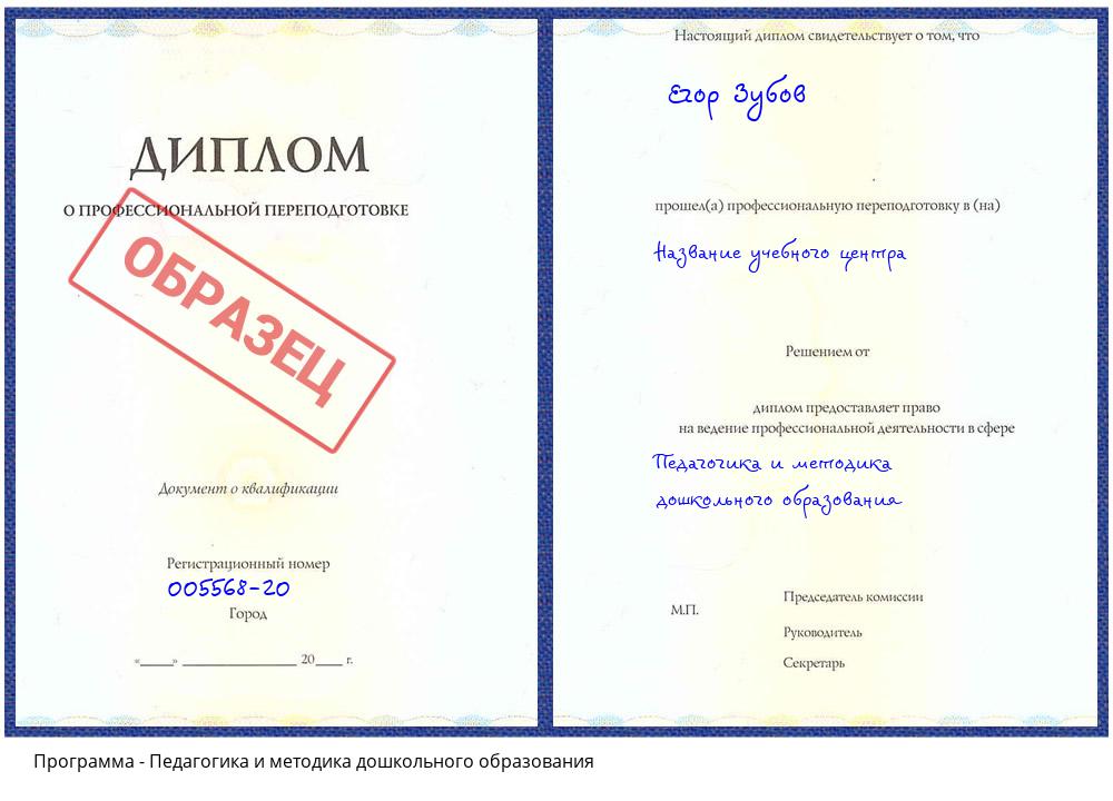 Педагогика и методика дошкольного образования Артем