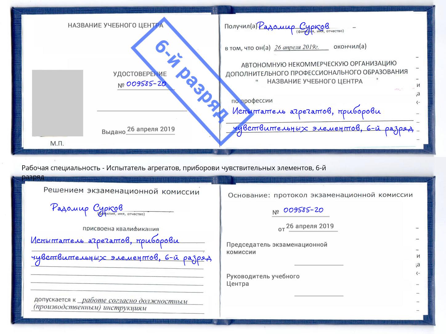 корочка 6-й разряд Испытатель агрегатов, приборови чувствительных элементов Артем