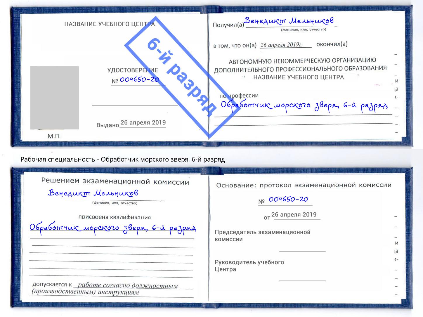 корочка 6-й разряд Обработчик морского зверя Артем