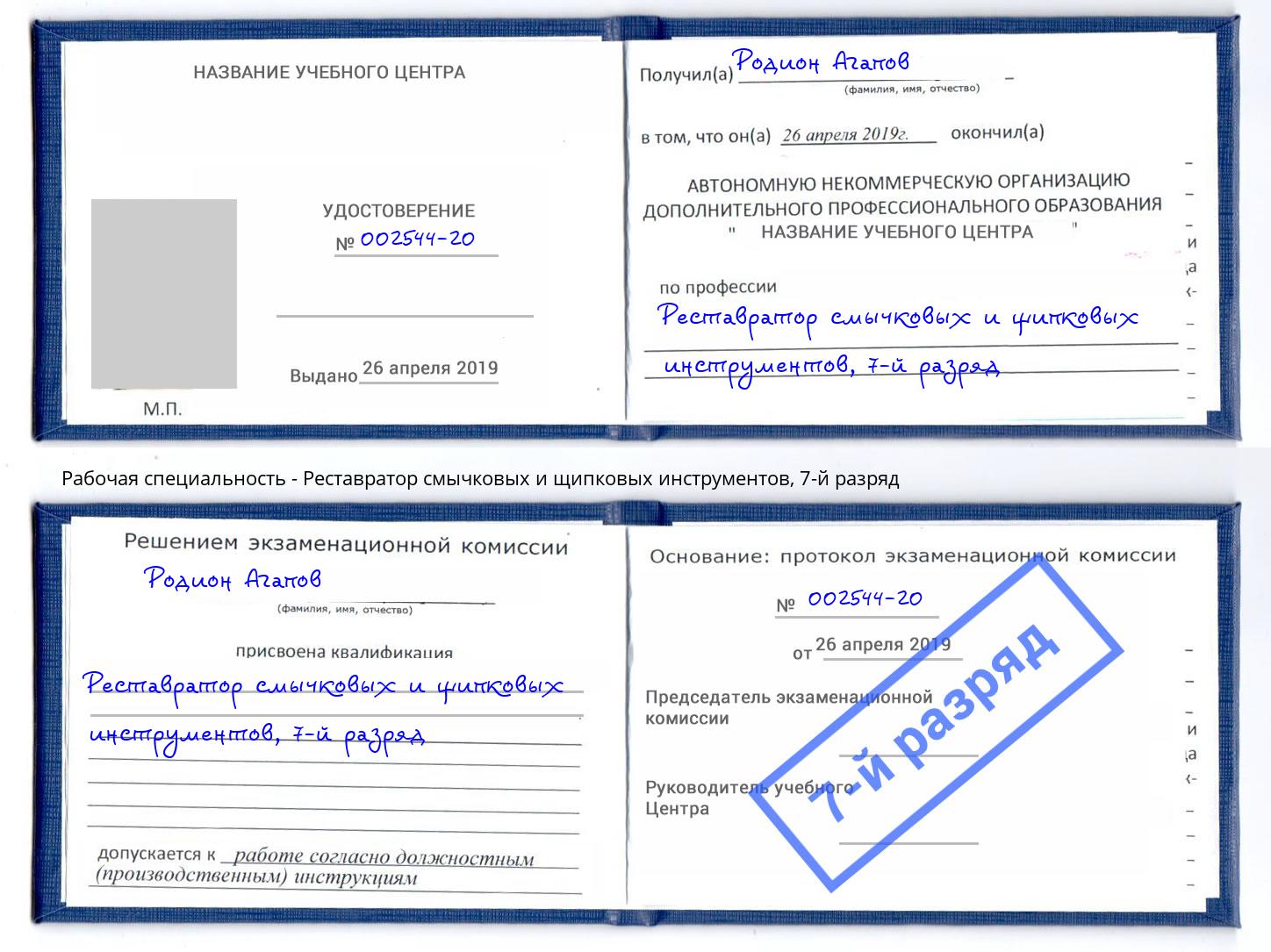 корочка 7-й разряд Реставратор смычковых и щипковых инструментов Артем