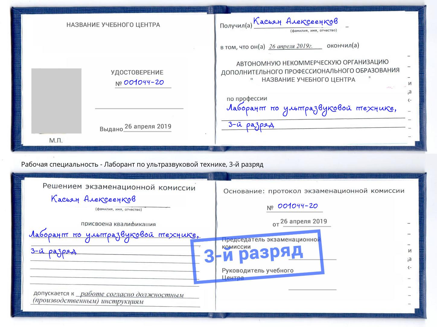 корочка 3-й разряд Лаборант по ультразвуковой технике Артем