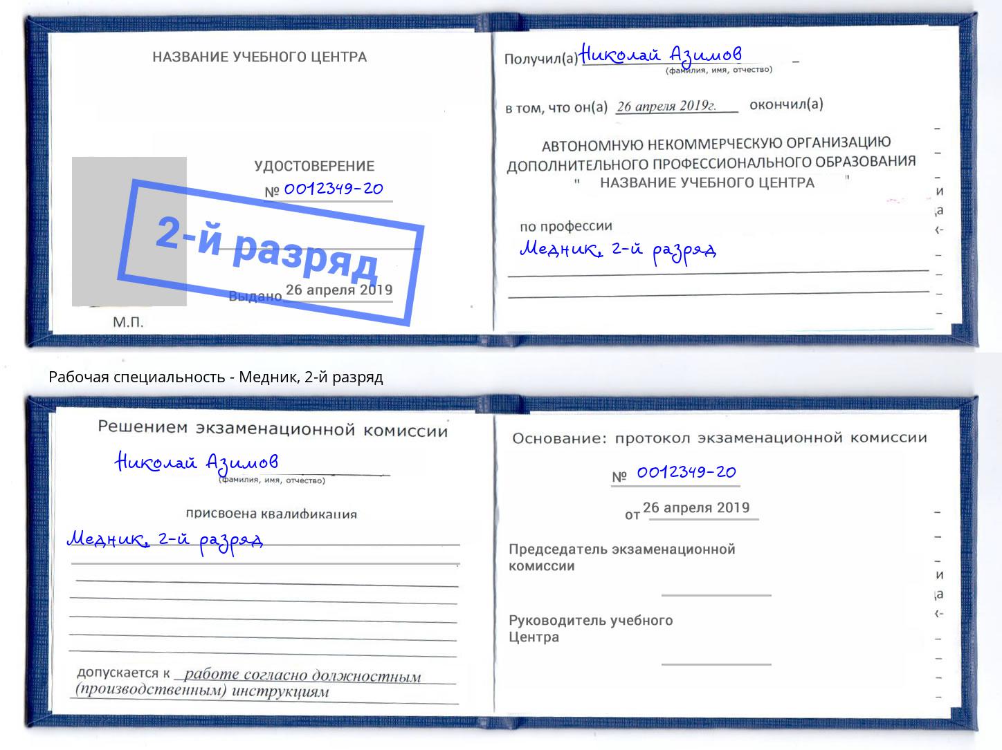 корочка 2-й разряд Медник Артем