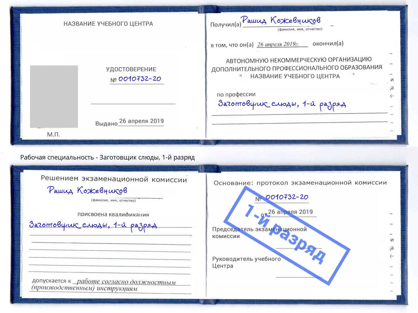 корочка 1-й разряд Заготовщик слюды Артем